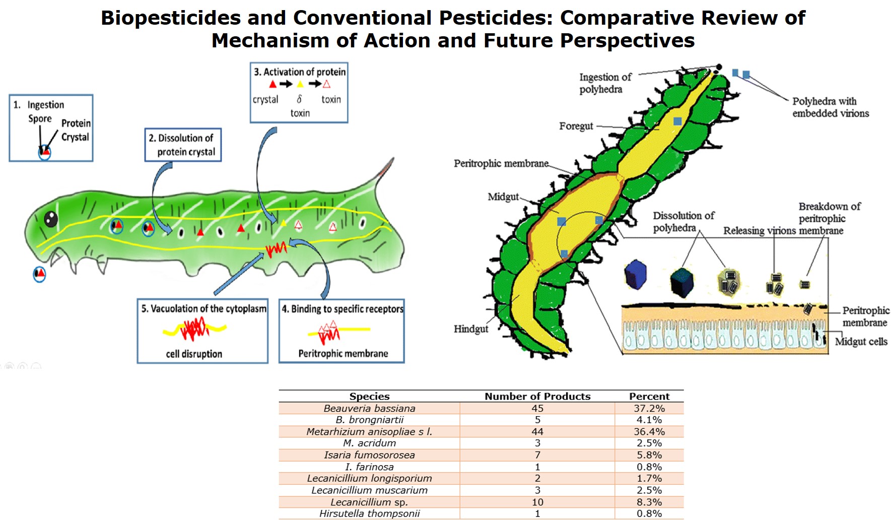 Insecticide, Description, Modes of Action, Types, & Environmental Impacts